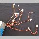 Evo300-DSC05904.JPG