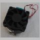 Evo300-DSC05934.JPG